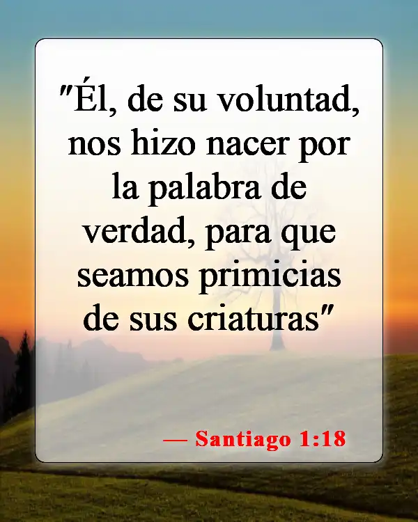 Versículos de la Biblia sobre los cristianos nacidos de nuevo (Santiago 1:18)