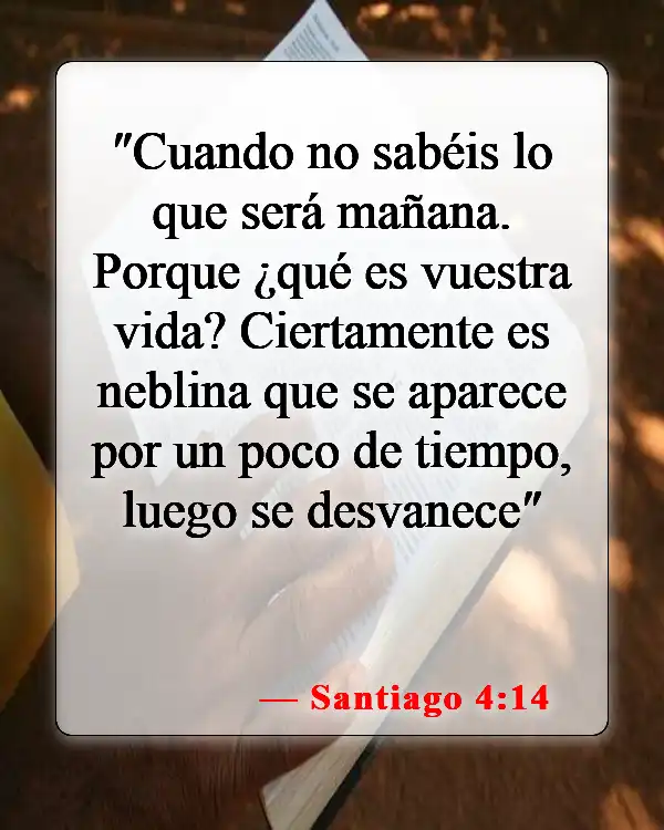 Versículos de la Biblia sobre la Apreciación de la Vida (Santiago 4:14)