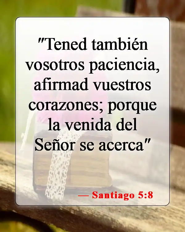 Versículos bíblicos sobre el regreso de Cristo (Santiago 5:8)