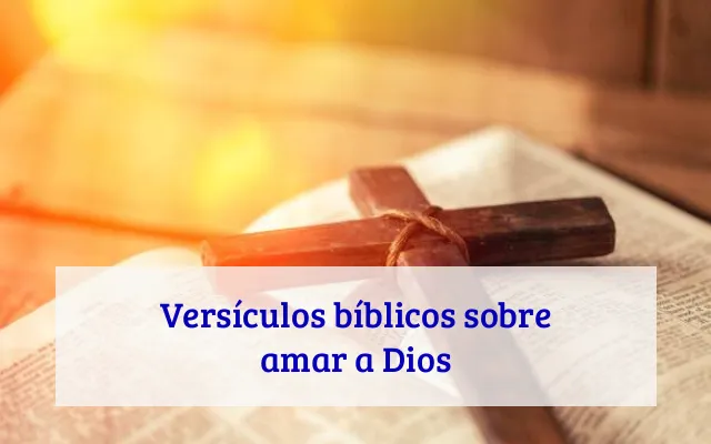 Versículos bíblicos sobre amar a Dios