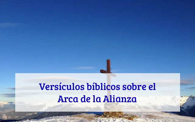 Versículos bíblicos sobre el Arca de la Alianza