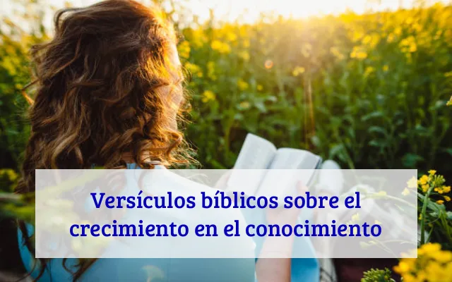 Versículos bíblicos sobre el crecimiento en el conocimiento