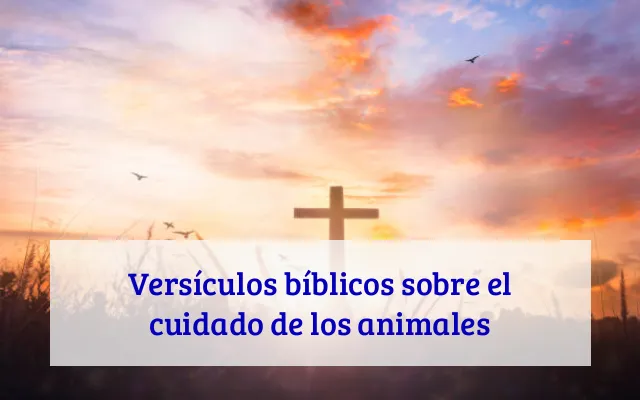 Versículos bíblicos sobre el cuidado de los animales