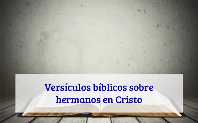 Versículos bíblicos sobre hermanos en Cristo