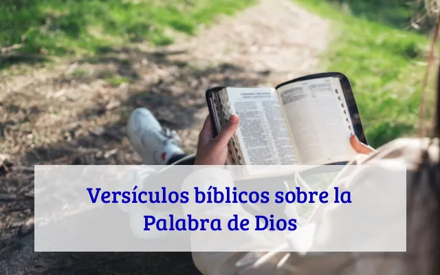 Versículos bíblicos sobre la Palabra de Dios