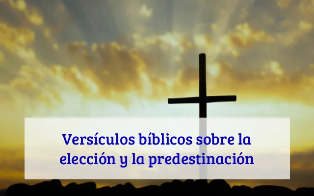 Versículos bíblicos sobre la elección y la predestinación