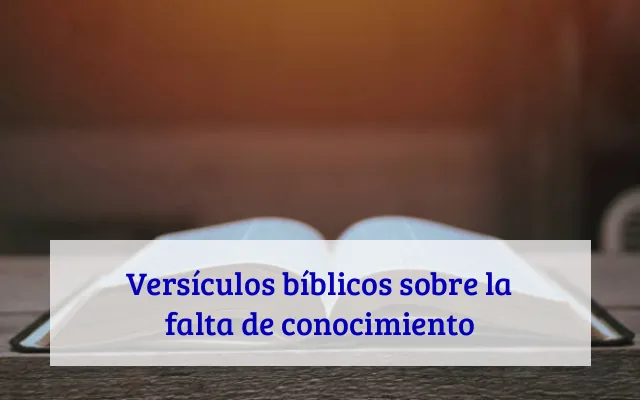 Versículos bíblicos sobre la falta de conocimiento