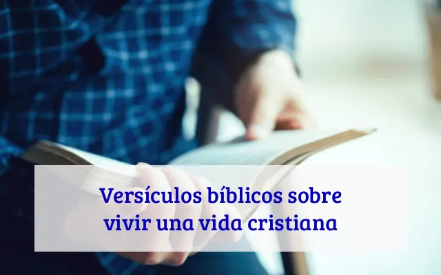 Versículos bíblicos sobre vivir una vida cristiana