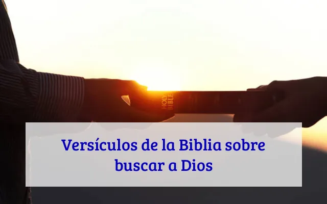 Versículos de la Biblia sobre buscar a Dios