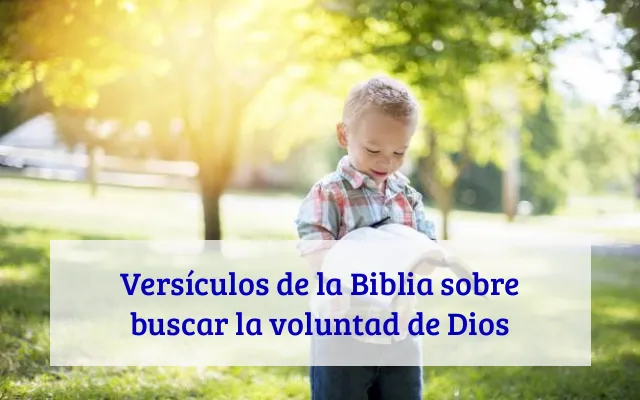 Versículos de la Biblia sobre buscar la voluntad de Dios