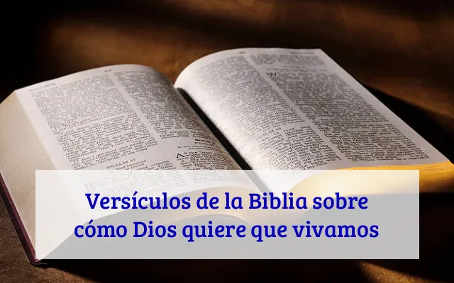 Versículos de la Biblia sobre cómo Dios quiere que vivamos