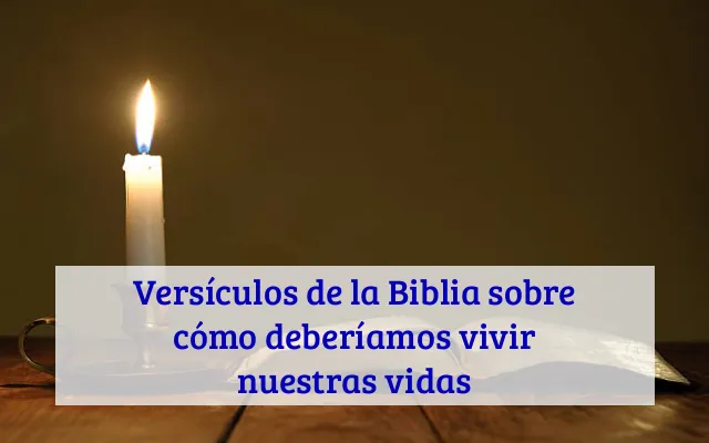 Versículos de la Biblia sobre cómo deberíamos vivir nuestras vidas