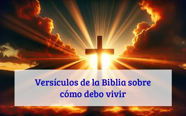 Versículos de la Biblia sobre cómo debo vivir