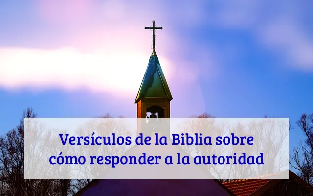 Versículos de la Biblia sobre cómo responder a la autoridad