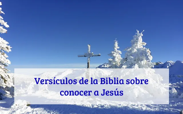 Versículos de la Biblia sobre conocer a Jesús