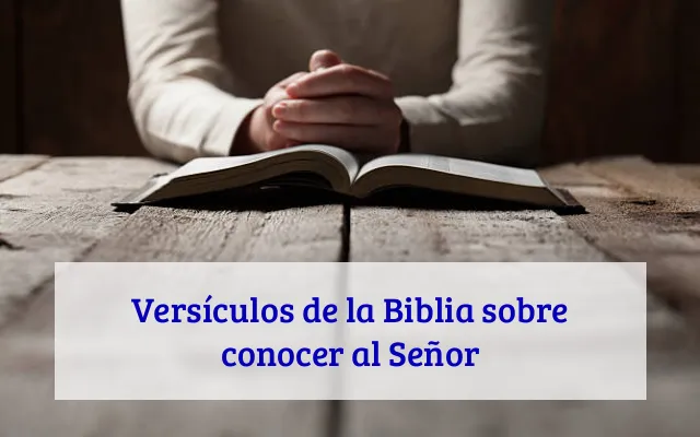 Versículos de la Biblia sobre conocer al Señor