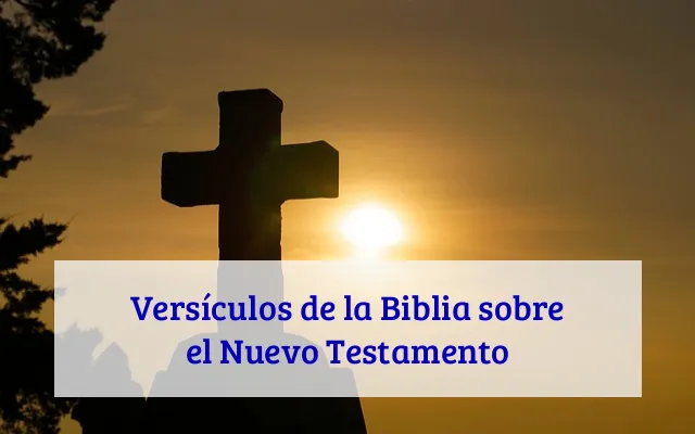 Versículos de la Biblia sobre el Nuevo Testamento