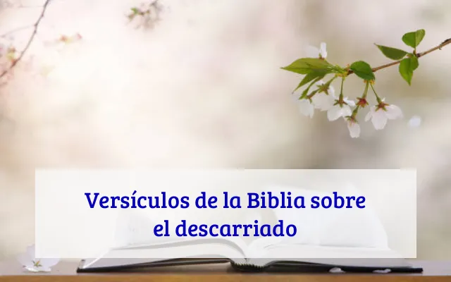 Versículos de la Biblia sobre el descarriado