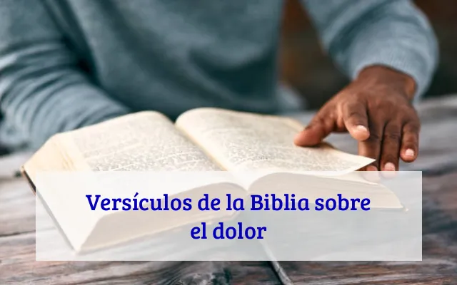 Versículos de la Biblia sobre el dolor