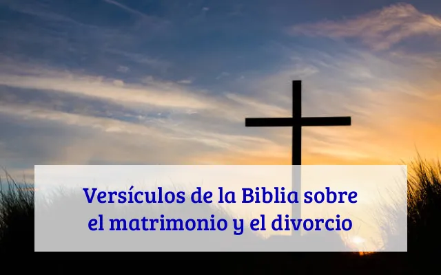 Versículos de la Biblia sobre el matrimonio y el divorcio