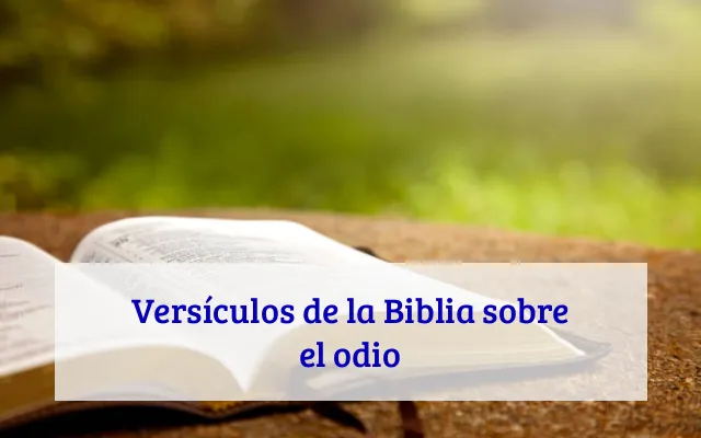 Versículos de la Biblia sobre el odio