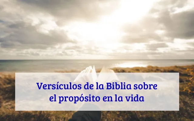 Versículos de la Biblia sobre el propósito en la vida