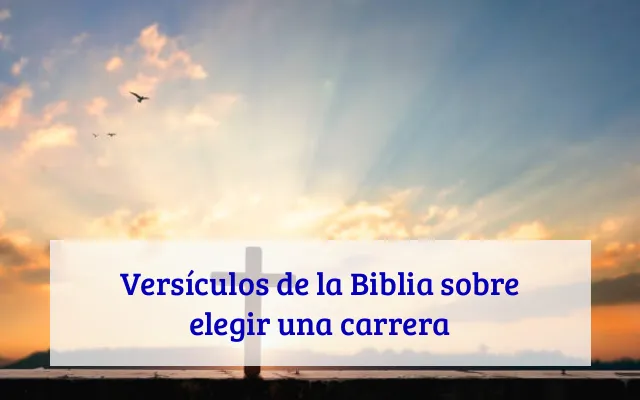 Versículos de la Biblia sobre elegir una carrera