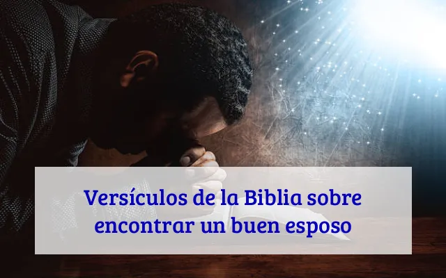 Versículos de la Biblia sobre encontrar un buen esposo