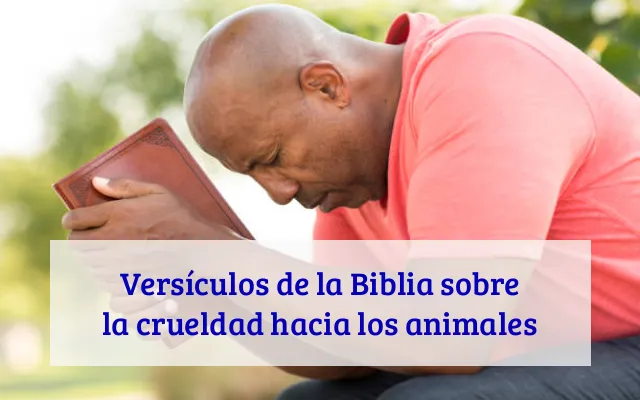 Versículos de la Biblia sobre la crueldad hacia los animales