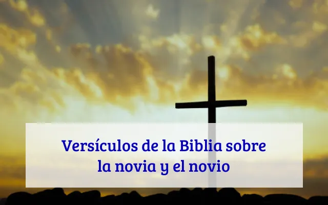 Versículos de la Biblia sobre la novia y el novio