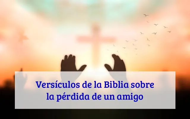 Versículos de la Biblia sobre la pérdida de un amigo