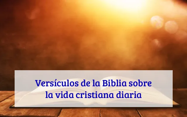 Versículos de la Biblia sobre la vida cristiana diaria