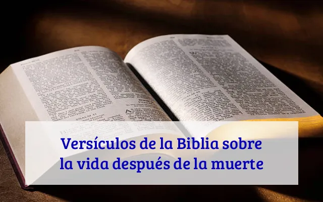 Versículos de la Biblia sobre la vida después de la muerte