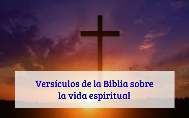 Versículos de la Biblia sobre la vida espiritual