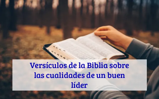 Versículos de la Biblia sobre las cualidades de un buen líder