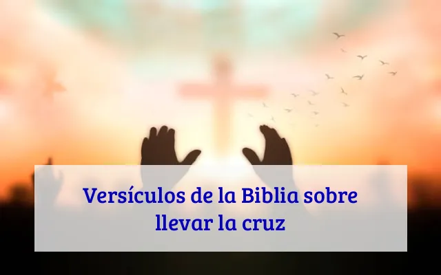 Versículos de la Biblia sobre llevar la cruz