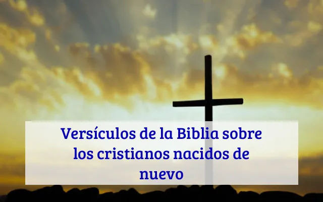 Versículos de la Biblia sobre los cristianos nacidos de nuevo