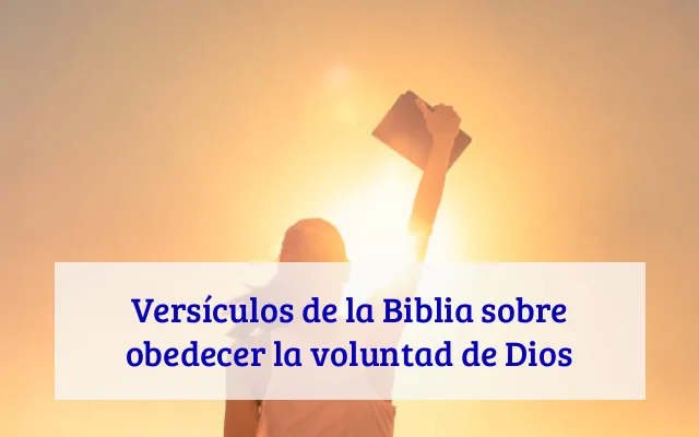 Versículos de la Biblia sobre obedecer la voluntad de Dios