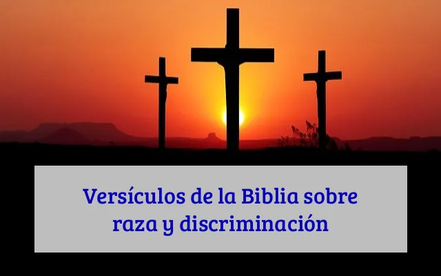 Versículos de la Biblia sobre raza y discriminación