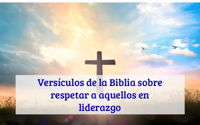 Versículos de la Biblia sobre respetar a aquellos en liderazgo